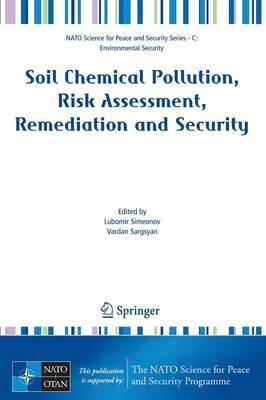 Soil Chemical Pollution, Risk Assessment, Remediation and Security image