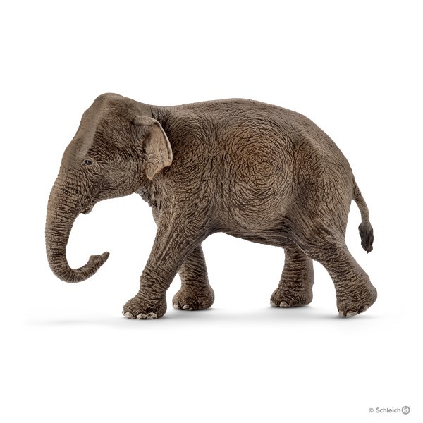 Schleich: Asian Elephant Female image