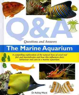 Questions and Answers the Marine Aquarium by Ashley Ward image
