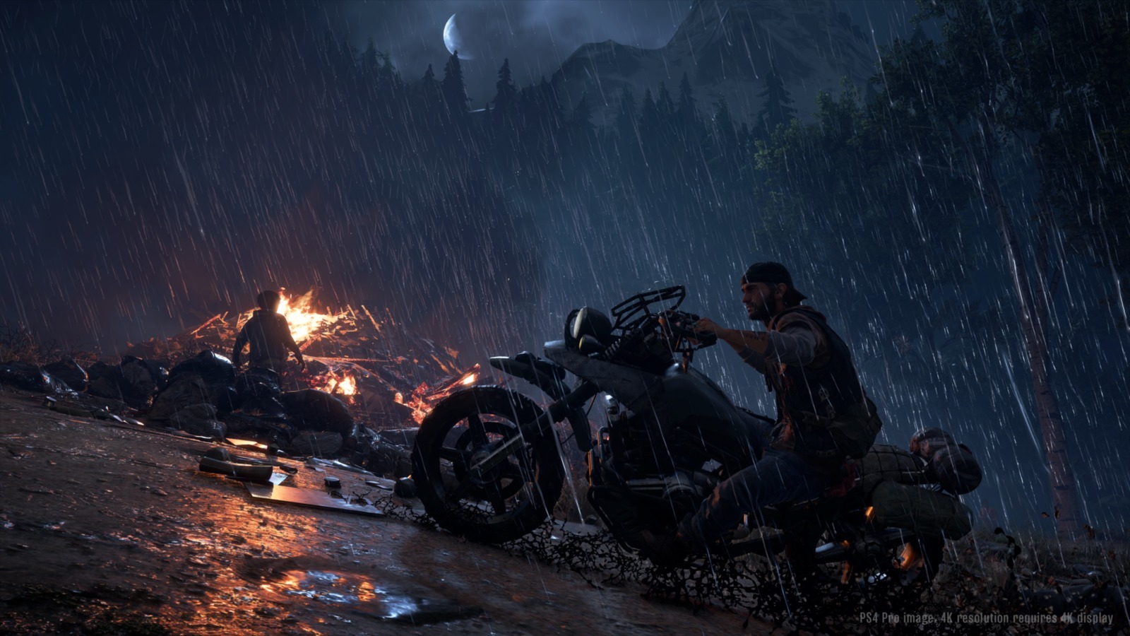 Days Gone Collector's Edition image