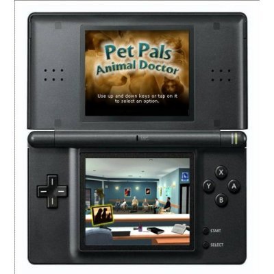Real Adventures: Pet Vet for DS image