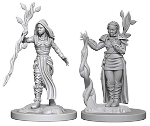 D&D Nolzur's Marvelous: Unpainted Minis - Human Female Druid image