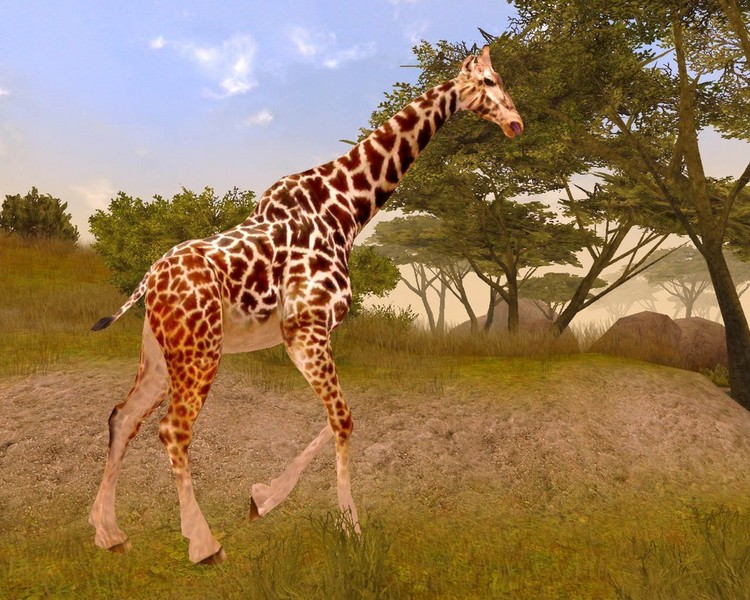 Cabela's African Safari for PlayStation 2 image