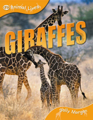 Giraffes by Sally Morgan image