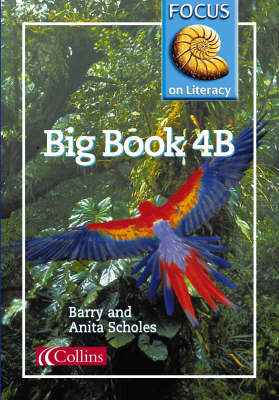 Focus on Literacy: 4B: Big Book by Barry Scholes image