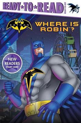 Where Is Robin? image