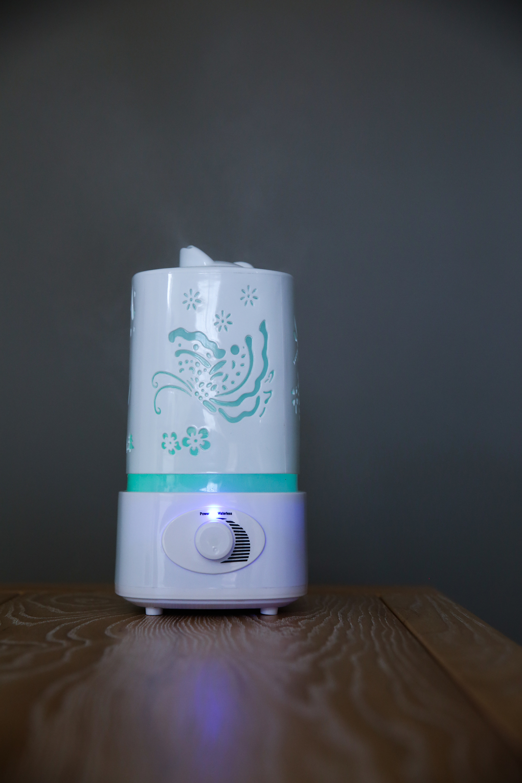 Moose Baby: Blissful Bedtime Humidifier image