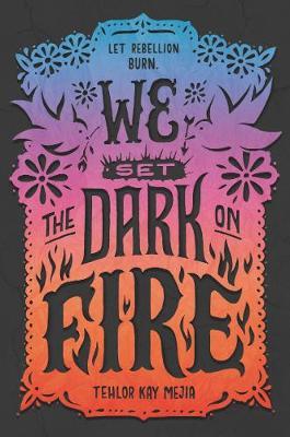 We Set the Dark on Fire by Tehlor Kay Mejia image