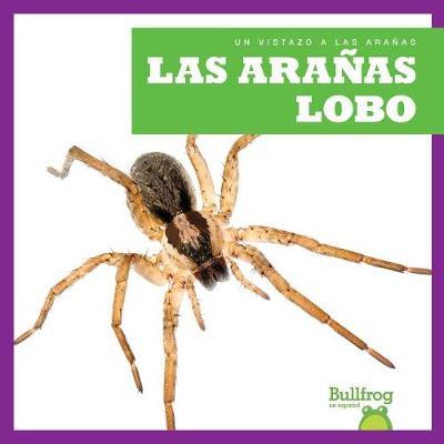 Las Aranas Lobo (Wolf Spiders) by Jenna Lee Gleisner image