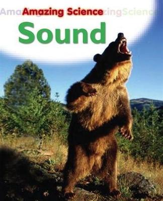 Amazing Science: Sound by Sally Hewitt image