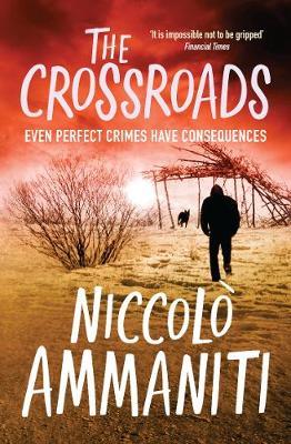 The Crossroads by Niccolo Ammaniti image