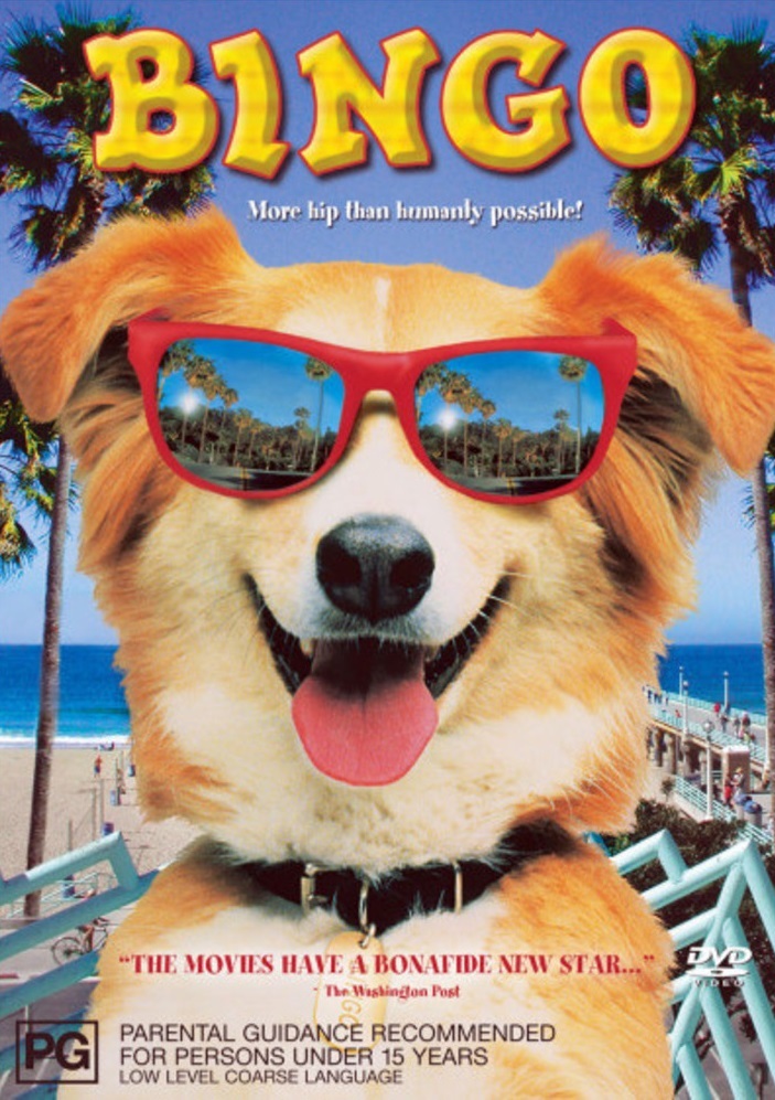Bingo on DVD image
