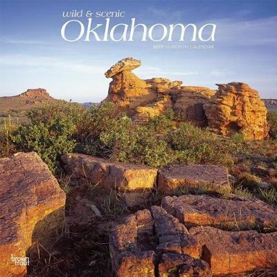 Oklahoma Wild & Scenic 2019 Square by Inc Browntrout Publishers image