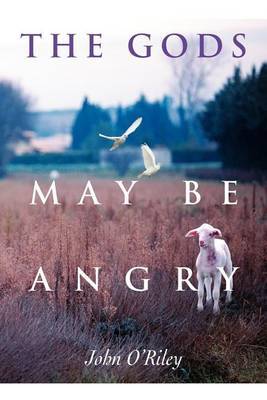 The Gods May Be Angry by John O'Riley image