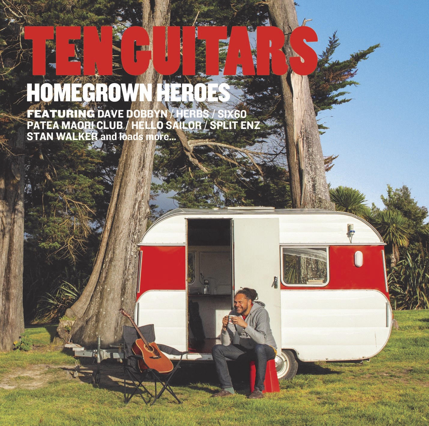 Ten Guitars: Homegrown Heroes image