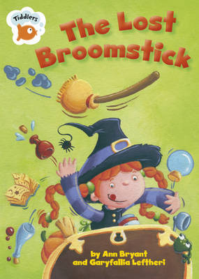 The Lost Broomstick by Ann Bryant image