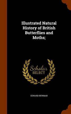 Illustrated Natural History of British Butterflies and Moths; by Edward Newman image
