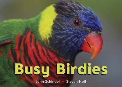 Busy Birdies by John Schindel image