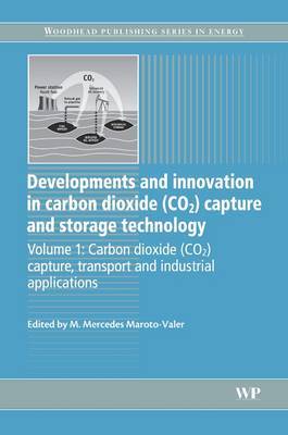 Developments and Innovation in Carbon Dioxide (CO2) Capture and Storage Technology image