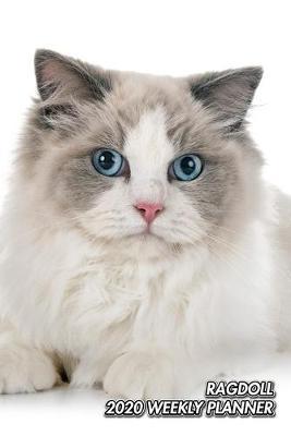 Ragdoll 2020 Weekly Planner by Notebooks Journals Xlpress image