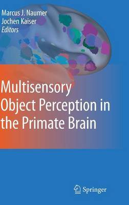 Multisensory Object Perception in the Primate Brain image