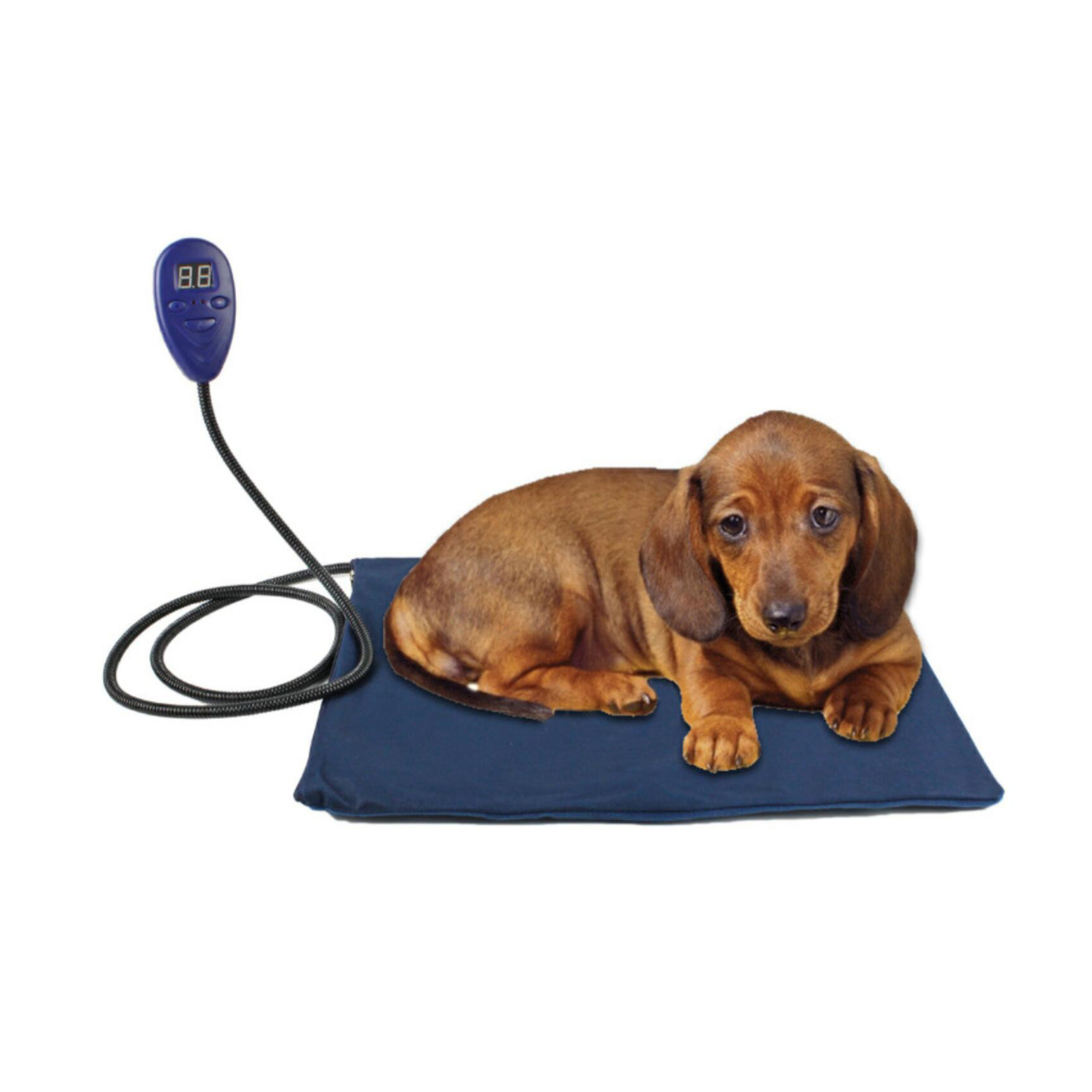 Ape Basics: Pet House Waterproof Electric Blanket image