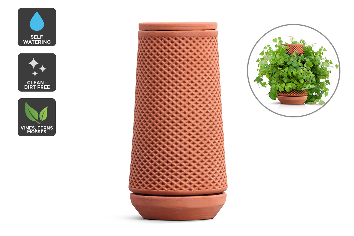 Certa SelfWatering Terracotta Ceramic Planter at Mighty Ape Australia