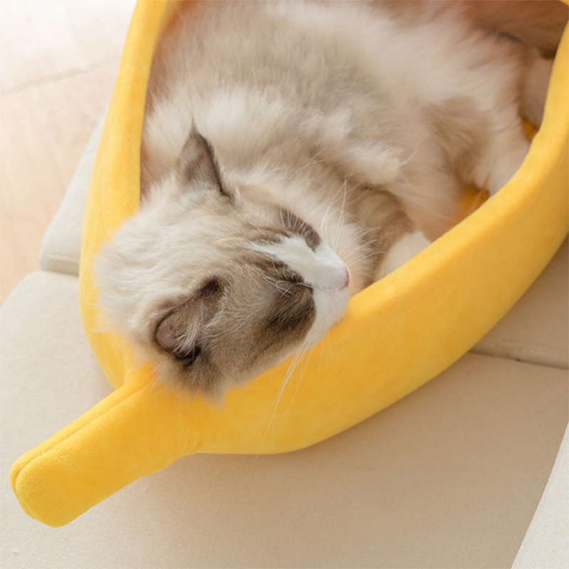 Buy Cute Banana Cat Bed at Mighty Ape Australia