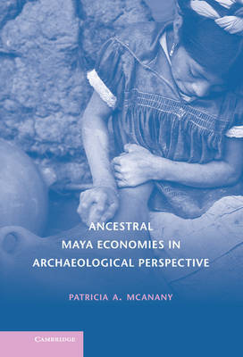 Ancestral Maya Economies in Archaeological Perspective by Patricia A. McAnany image