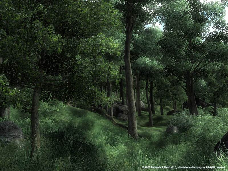 The Elder Scrolls IV: Oblivion Game of the Year Edition for PC Games image