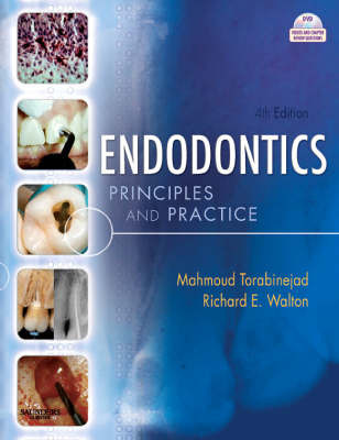 Endodontics: Principles and Practice by Mahmoud Torabinejad image