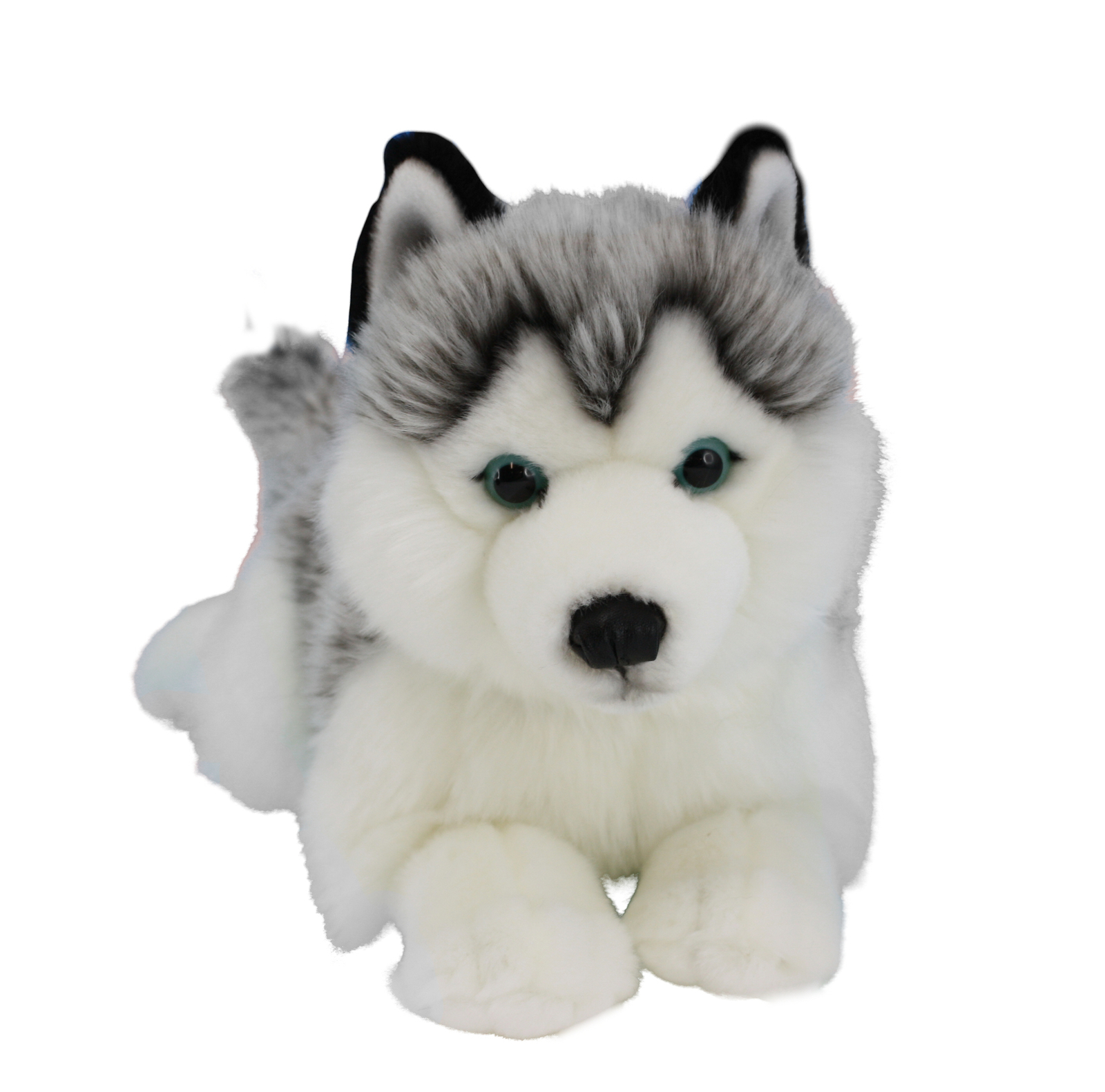 Buy Husky Dog Lying Plush at Mighty Ape Australia