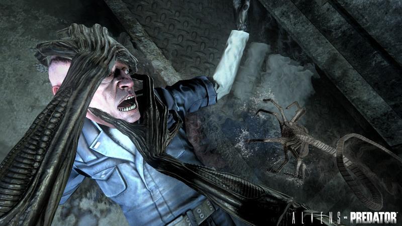 Aliens vs Predator Survivor Edition for PC Games image