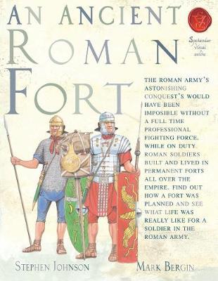 An Ancient Roman Fort by Stephen Johnson image
