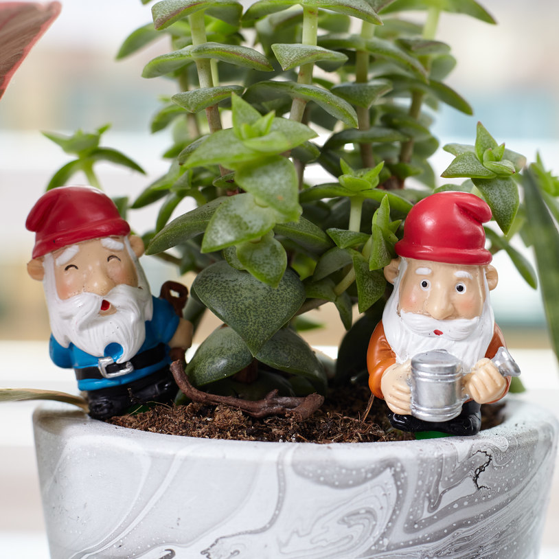 Gift Republic: Mini Plant Pot Gnomes