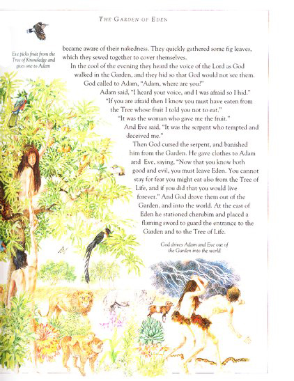 The Children's Illustrated Bible on Hardback by Selina Hastings