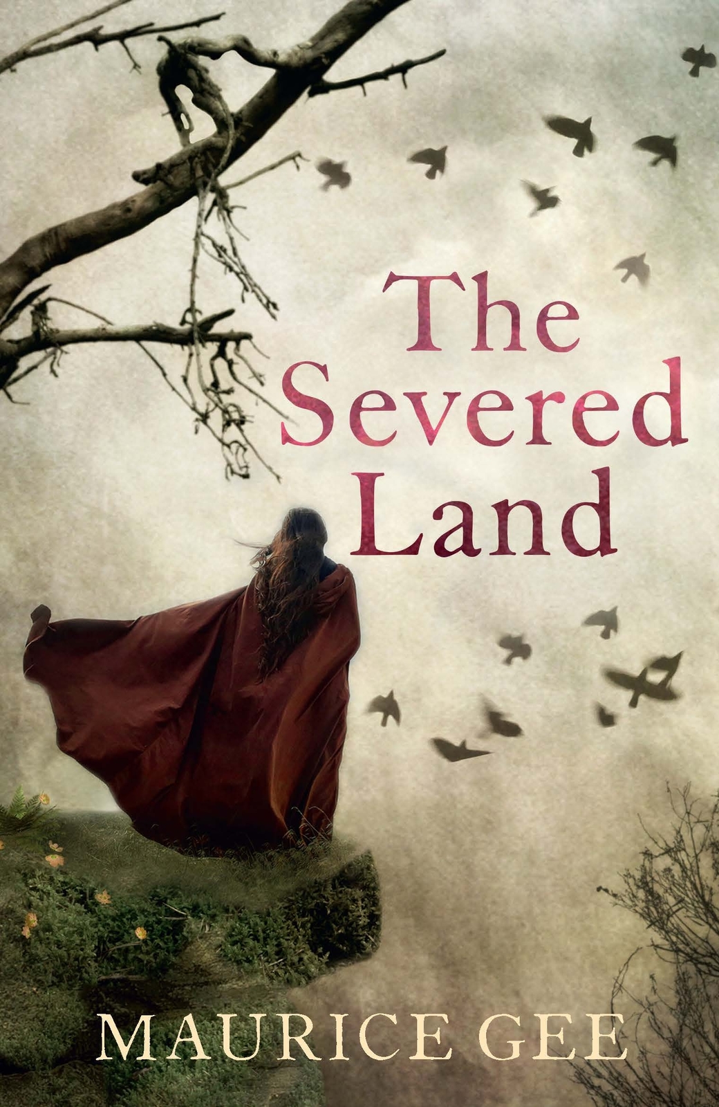 The Severed Land by MAURICE GEE image