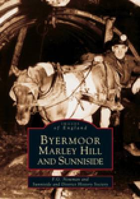 Byermoor, Marley Hill & Sunniside by Sunniside and District Local History Society image