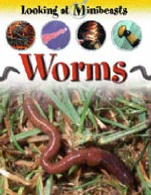 Worms by Sally Morgan image