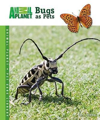 Bugs as Pets by Jay F Hemdal image