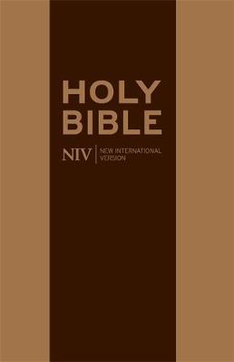 NIV Thinline Traveller's Bible by New International Version image