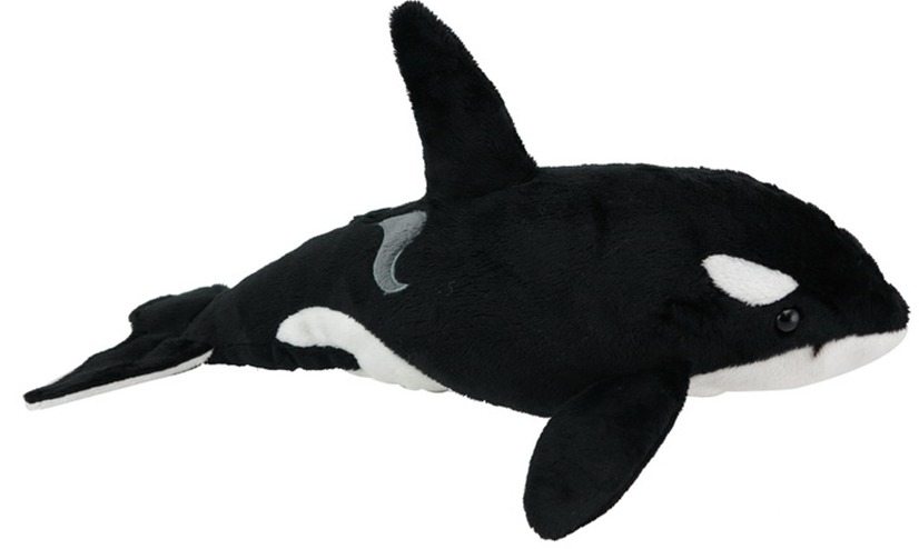 Orca with sound image