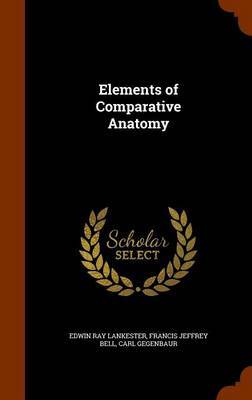 Elements of Comparative Anatomy by Edwin Ray Lankester image
