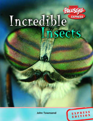 Incredible Insects by John Townsend image