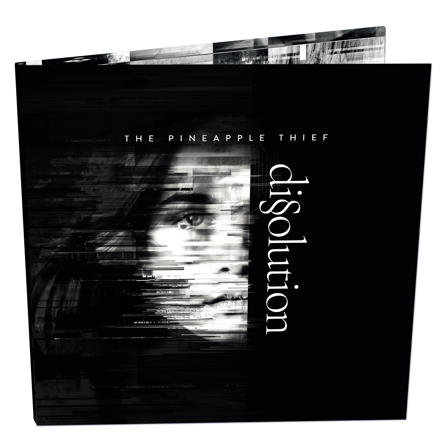 Dissolution on Vinyl by The Pineapple Thief