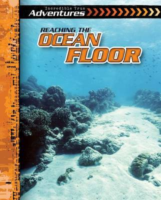 Reaching the Ocean Floor by Therese Shea image