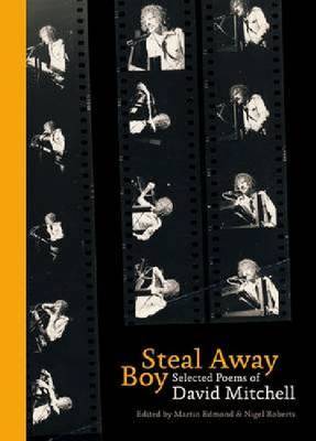 Steal Away Boy: The Selected Poems of David Mitchell image