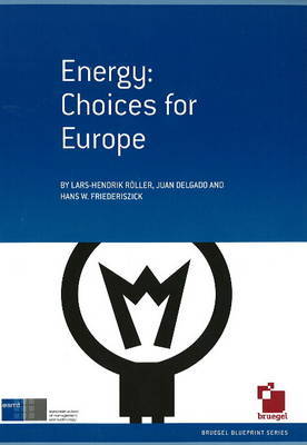 Energy: Choices for Europe by Lars Hendrik Roller image