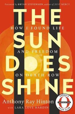 The Sun Does Shine by Lara Love Hardin image