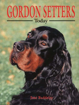 Gordon Setters Today by Jose Baddeley image